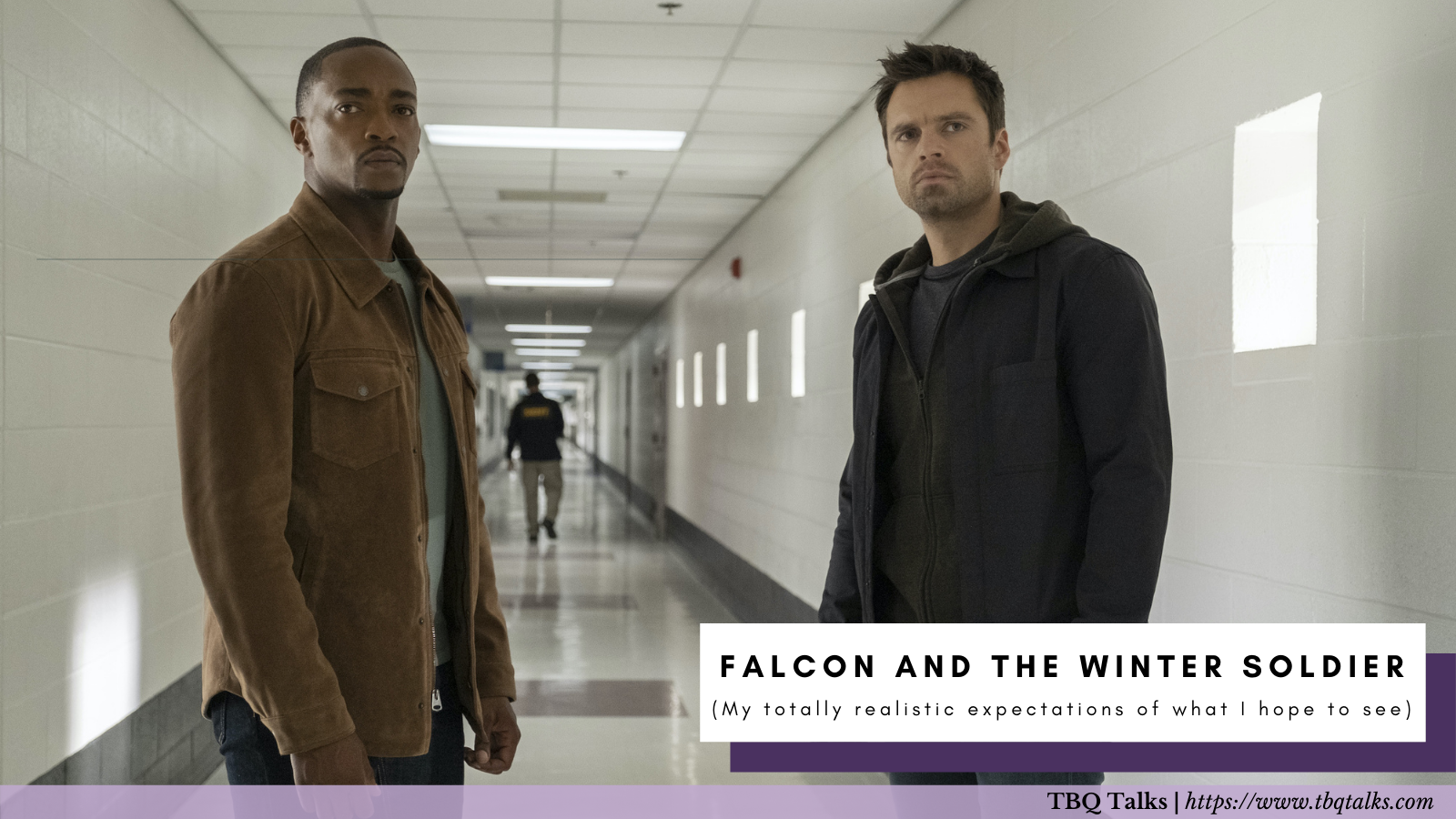 Falcon and the Winter Soldier (My Totally Realistic Expectations of What I Hope To See)