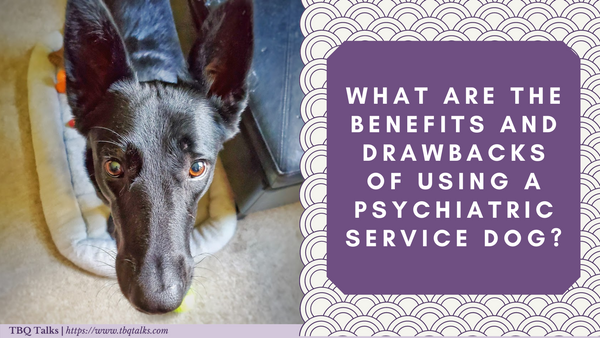 What Are The Benefits And Drawbacks of Using a Psychiatric Service Dog?